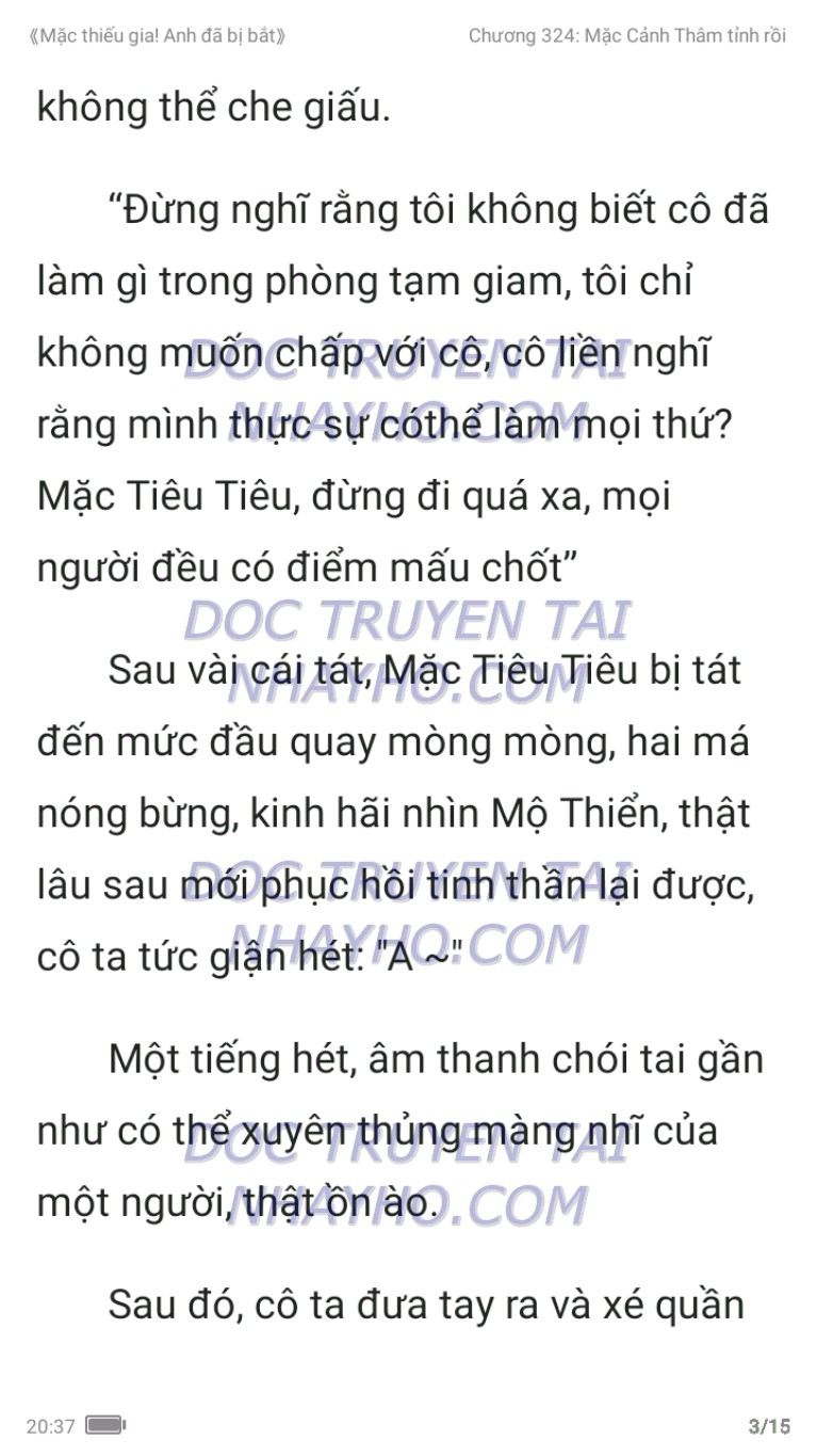 mac-thieu-gia-anh-da-bi-bat-324-2