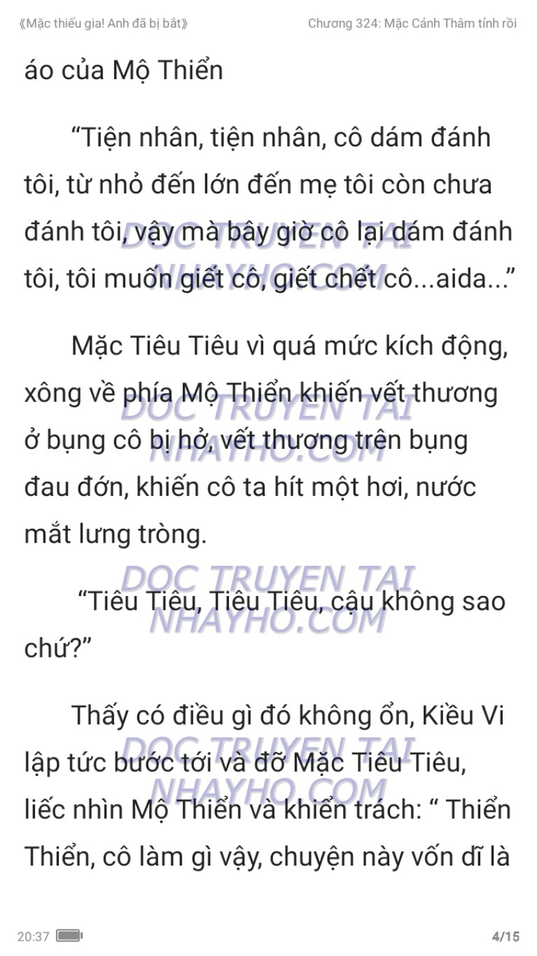 mac-thieu-gia-anh-da-bi-bat-324-3