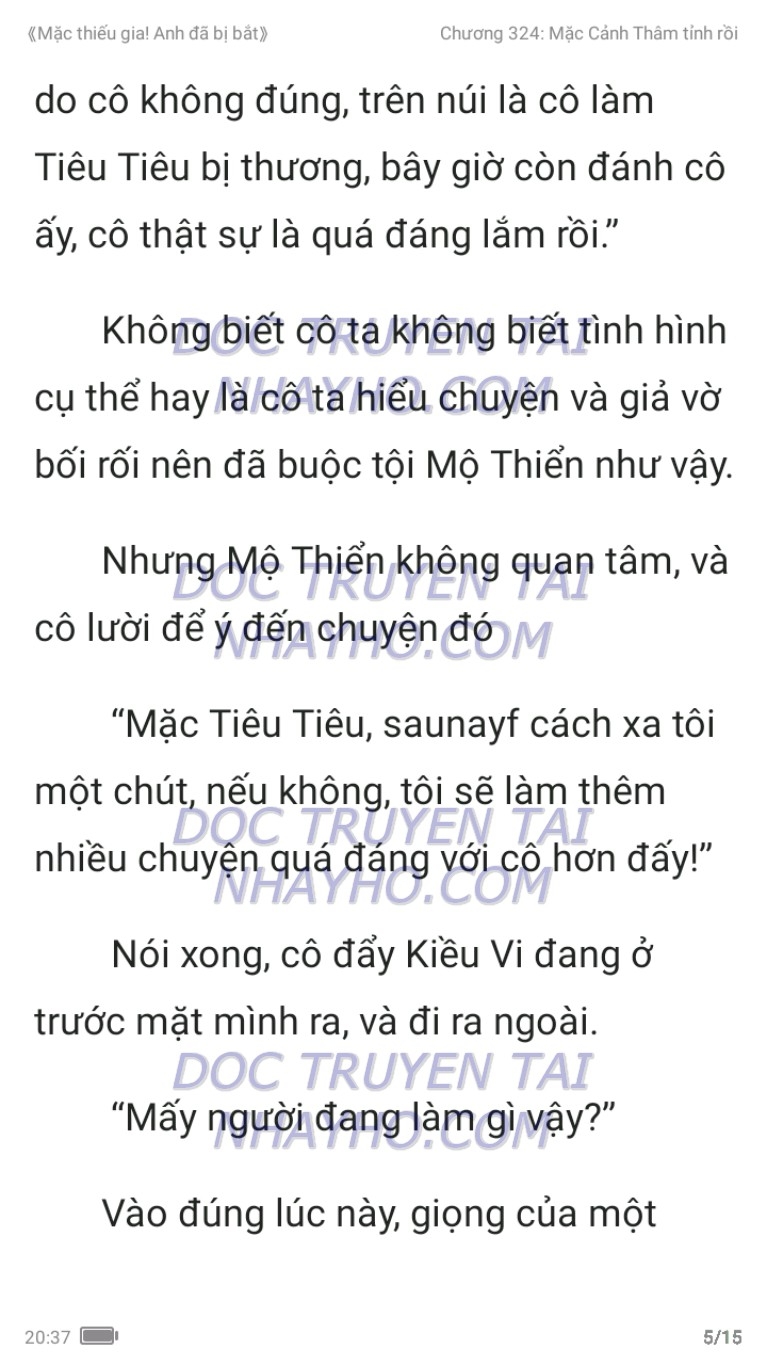 mac-thieu-gia-anh-da-bi-bat-324-4