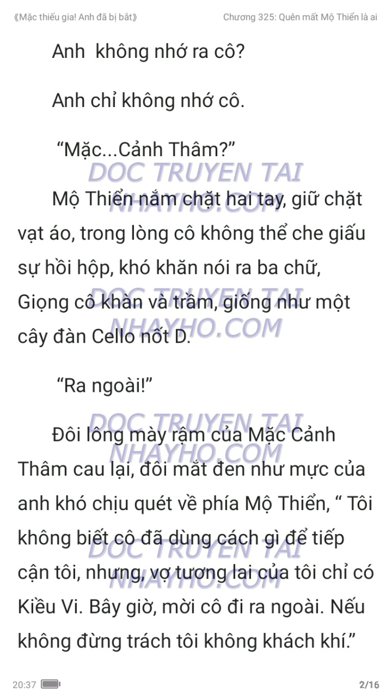 mac-thieu-gia-anh-da-bi-bat-325-1