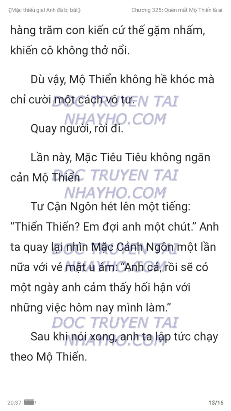 mac-thieu-gia-anh-da-bi-bat-325-12