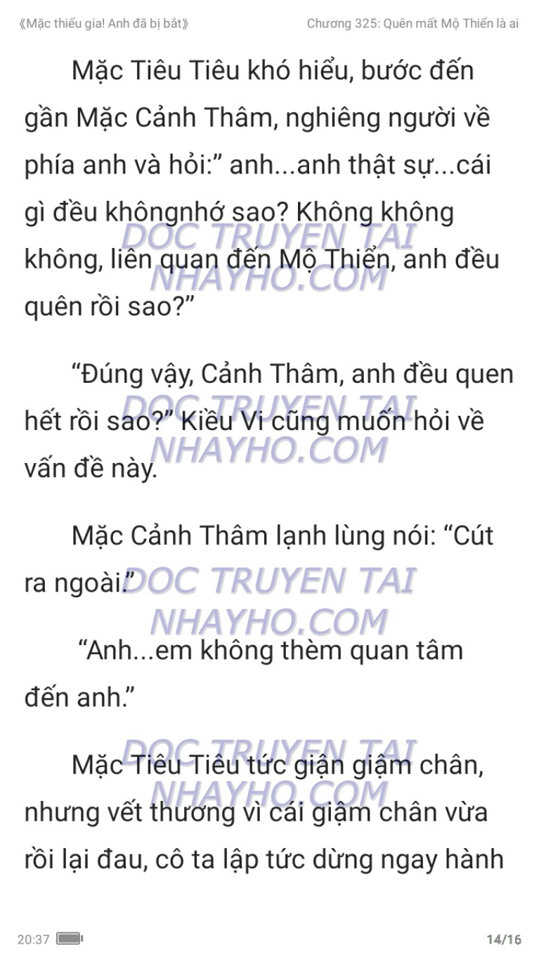 mac-thieu-gia-anh-da-bi-bat-325-13