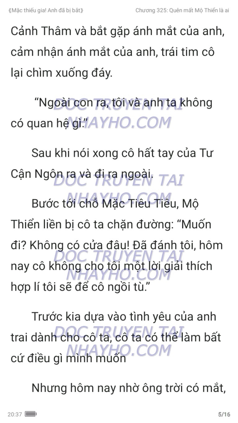 mac-thieu-gia-anh-da-bi-bat-325-4