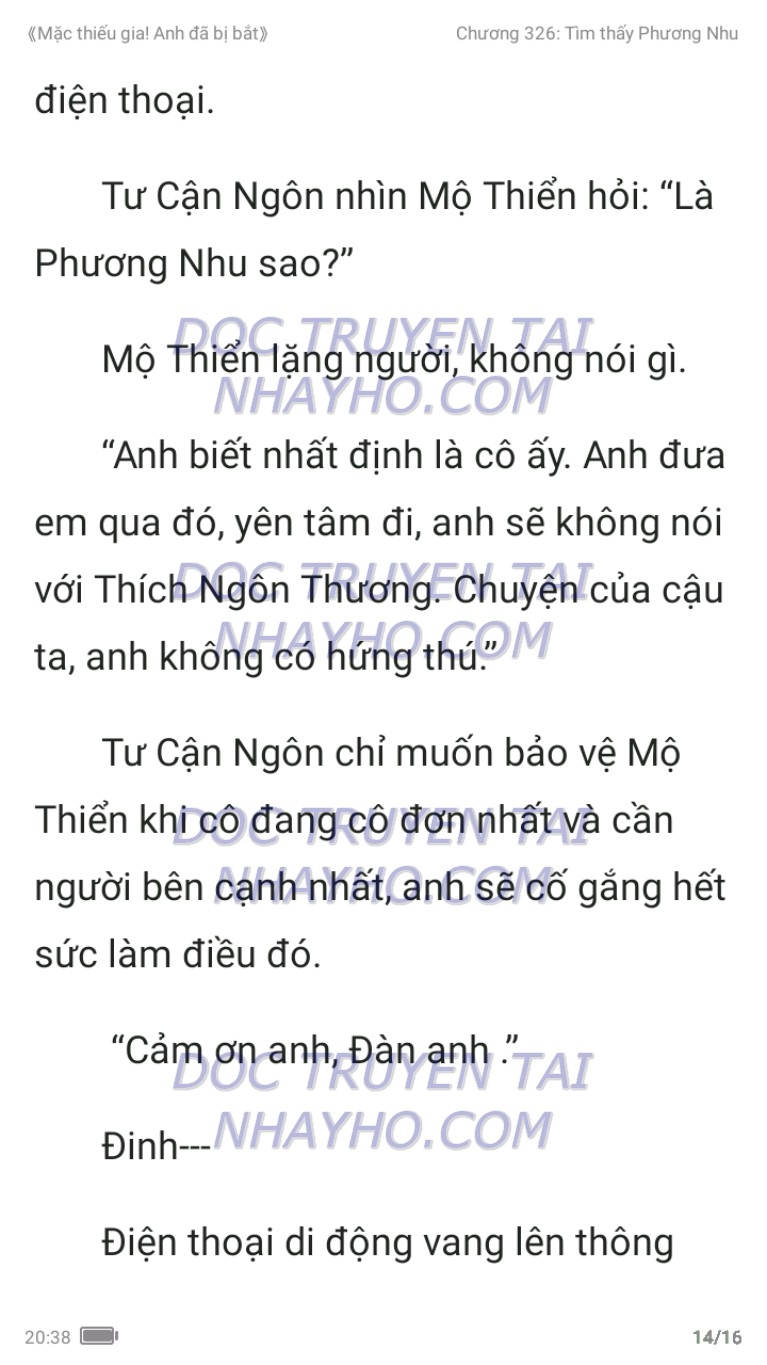 mac-thieu-gia-anh-da-bi-bat-326-13