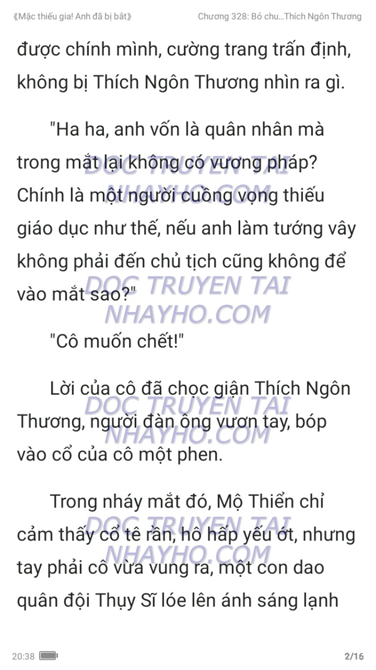 mac-thieu-gia-anh-da-bi-bat-328-1