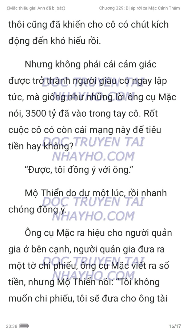 mac-thieu-gia-anh-da-bi-bat-329-15