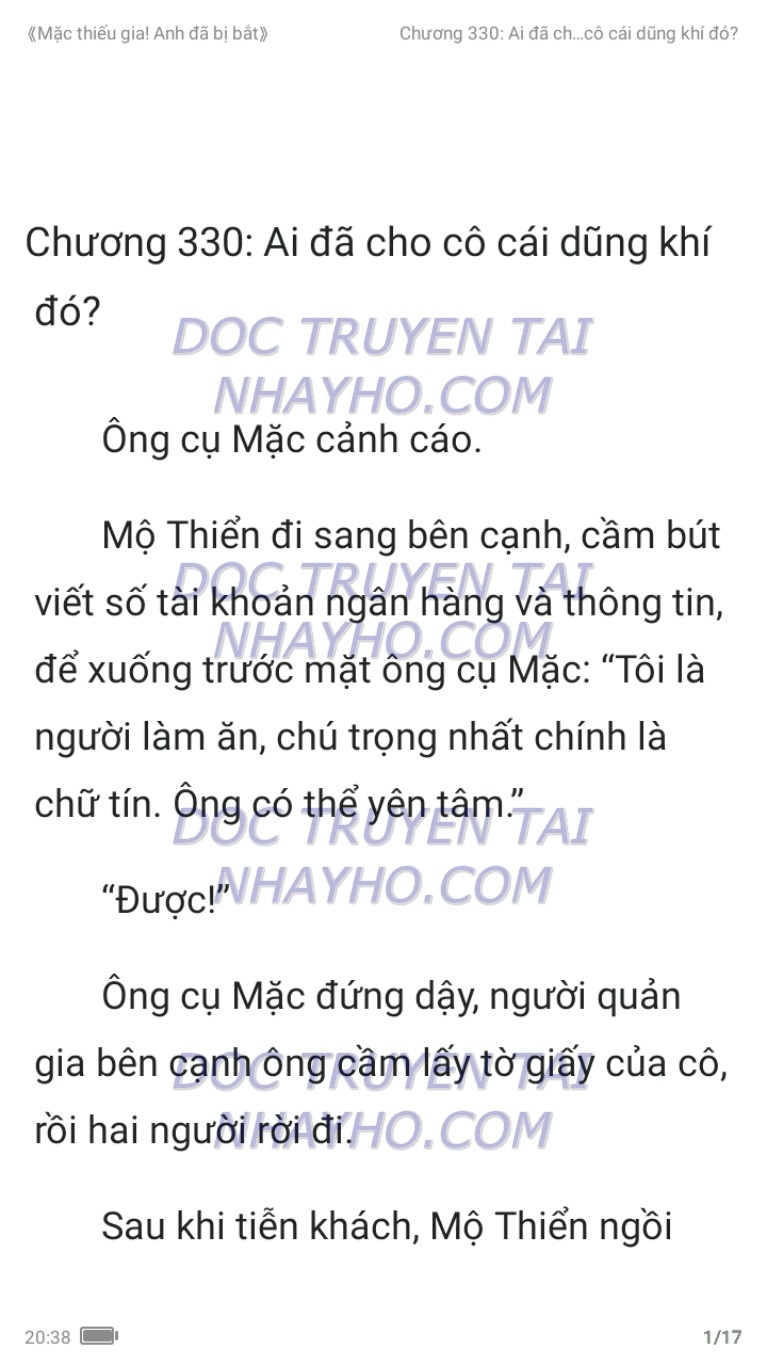 mac-thieu-gia-anh-da-bi-bat-330-0