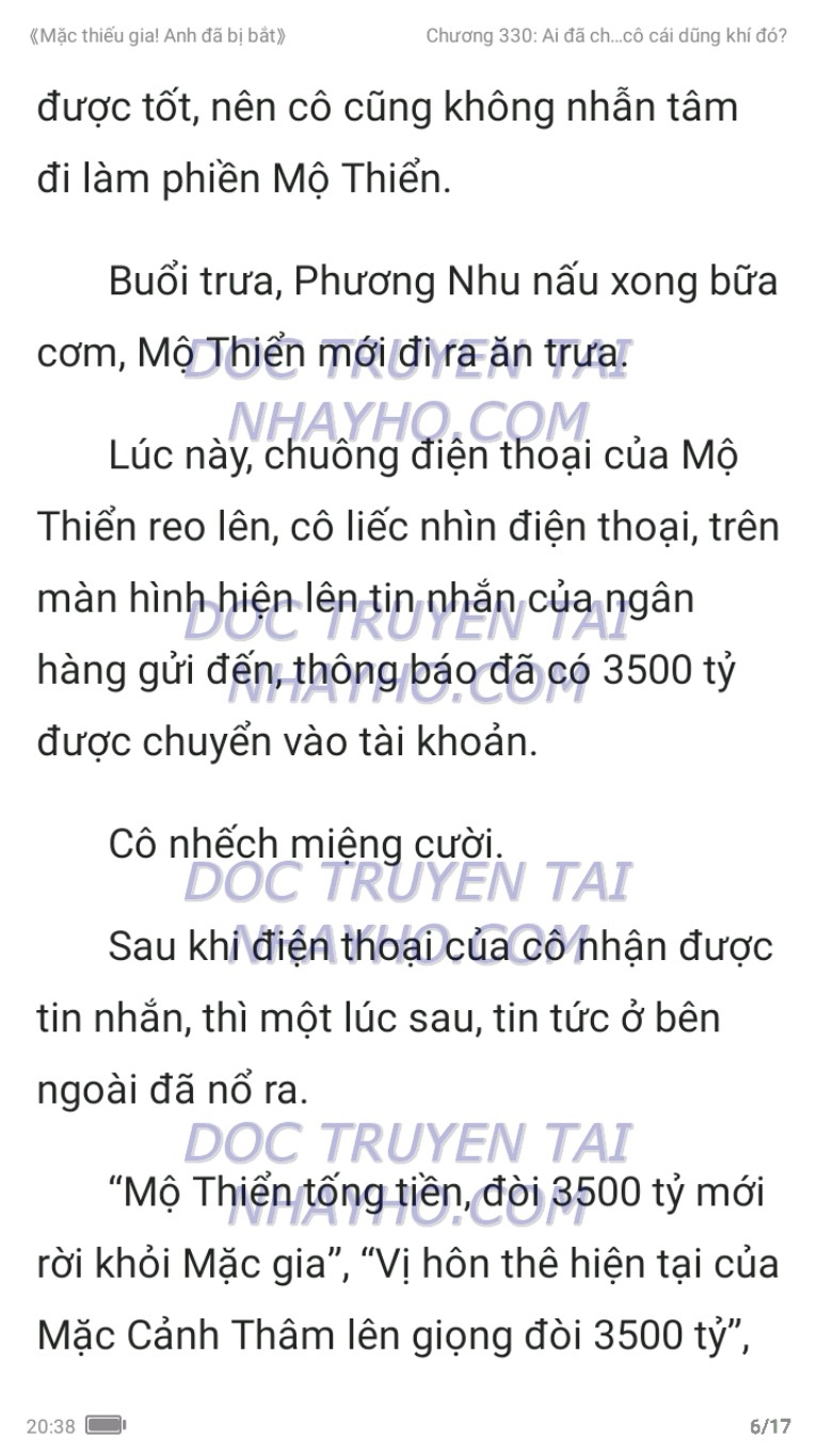 mac-thieu-gia-anh-da-bi-bat-330-5