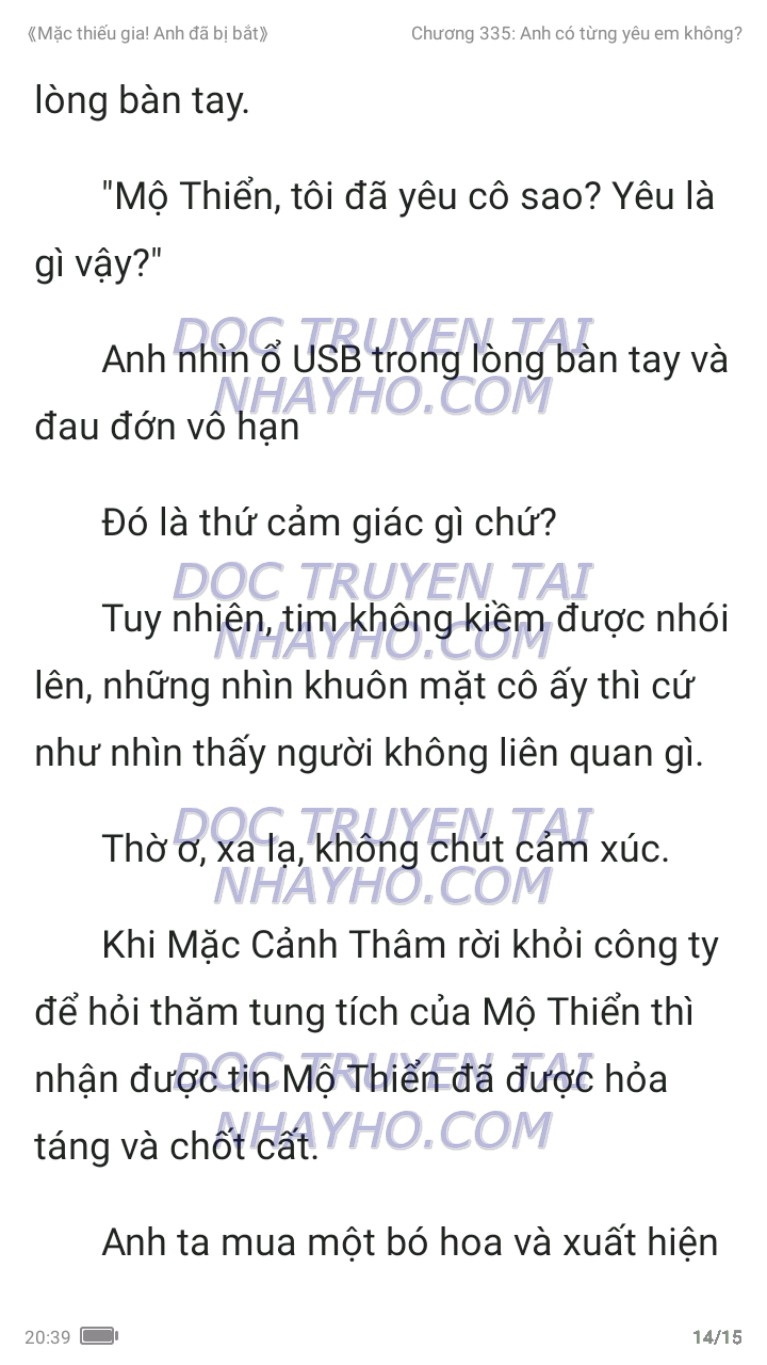 mac-thieu-gia-anh-da-bi-bat-335-13