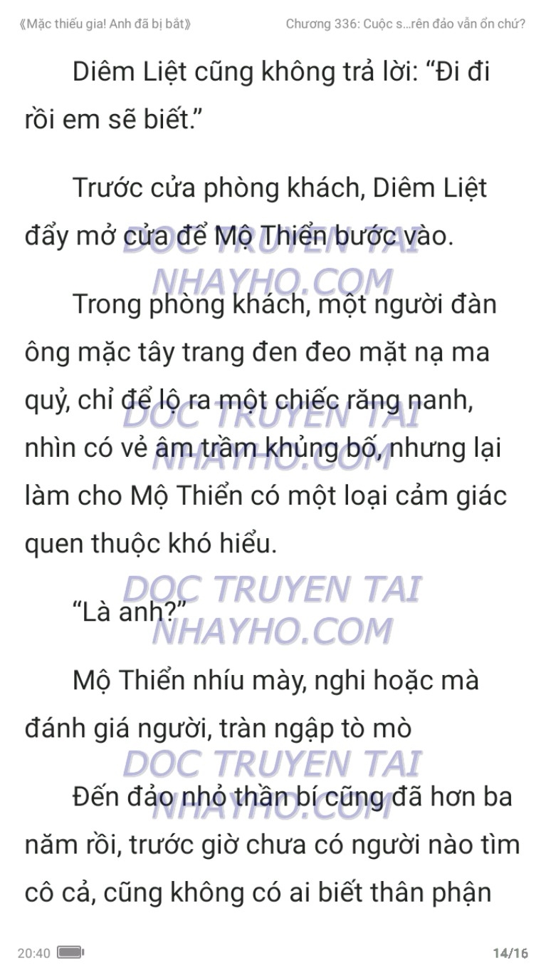 mac-thieu-gia-anh-da-bi-bat-336-13