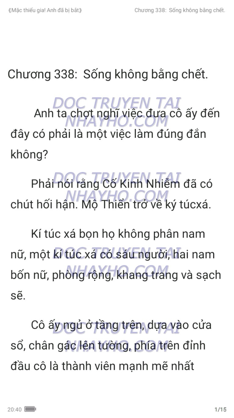 mac-thieu-gia-anh-da-bi-bat-338-0