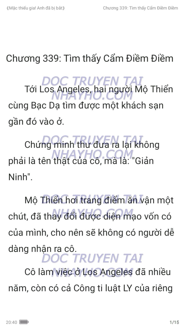 mac-thieu-gia-anh-da-bi-bat-339-0