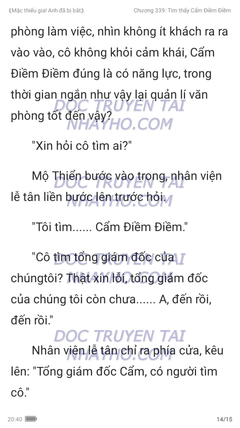 mac-thieu-gia-anh-da-bi-bat-339-13