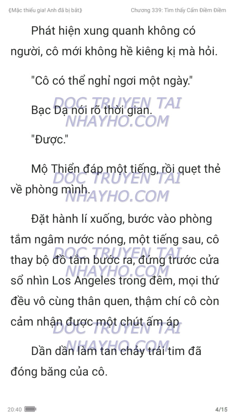 mac-thieu-gia-anh-da-bi-bat-339-3