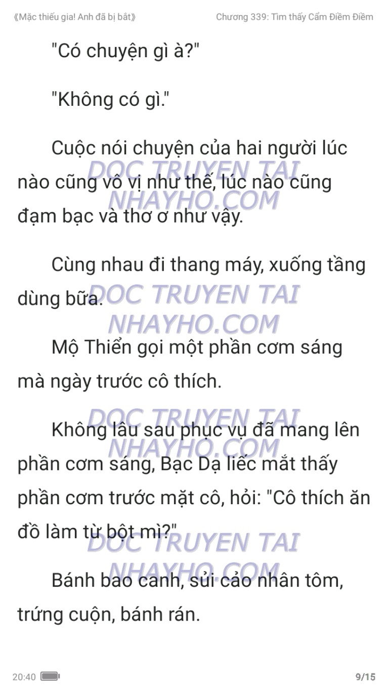 mac-thieu-gia-anh-da-bi-bat-339-8