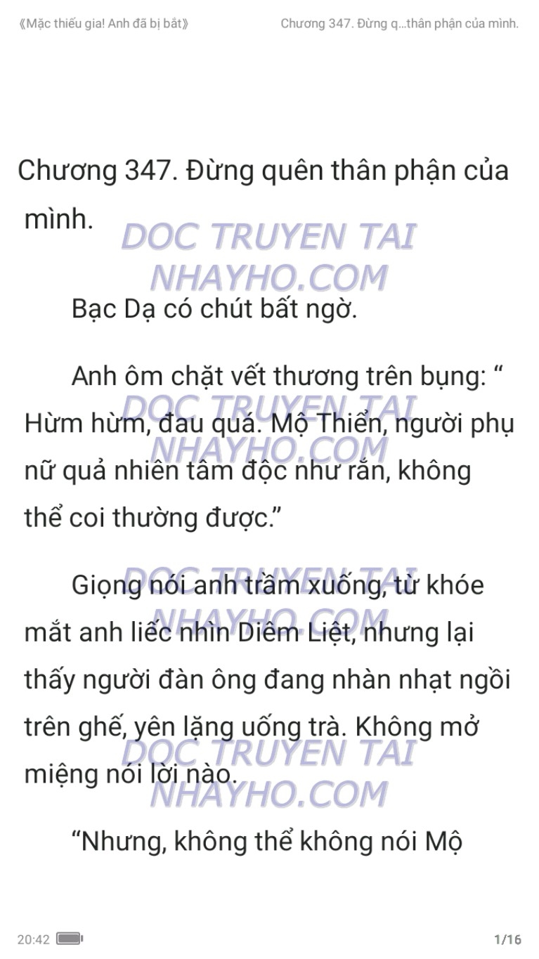 mac-thieu-gia-anh-da-bi-bat-347-0