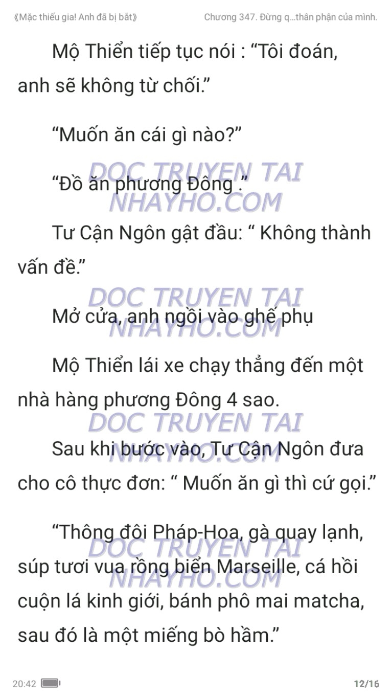 mac-thieu-gia-anh-da-bi-bat-347-11