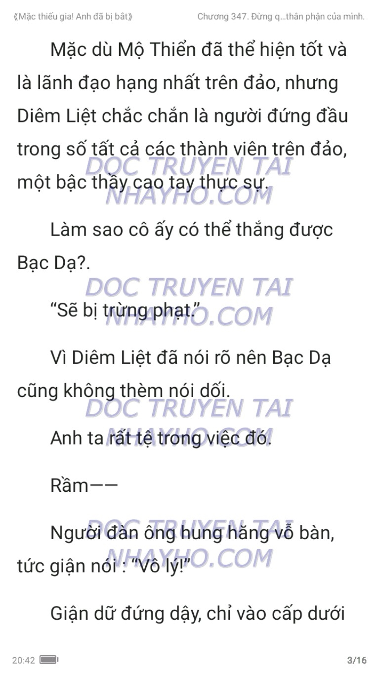 mac-thieu-gia-anh-da-bi-bat-347-2