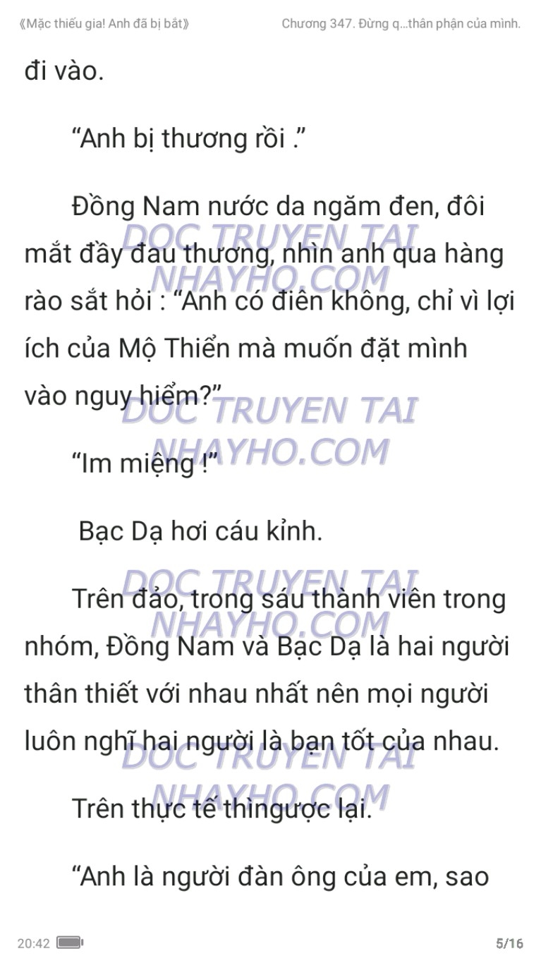 mac-thieu-gia-anh-da-bi-bat-347-4