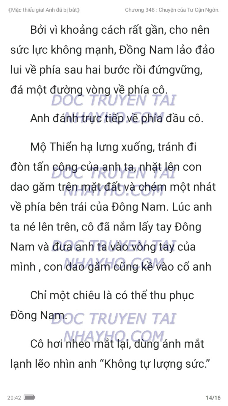 mac-thieu-gia-anh-da-bi-bat-348-13