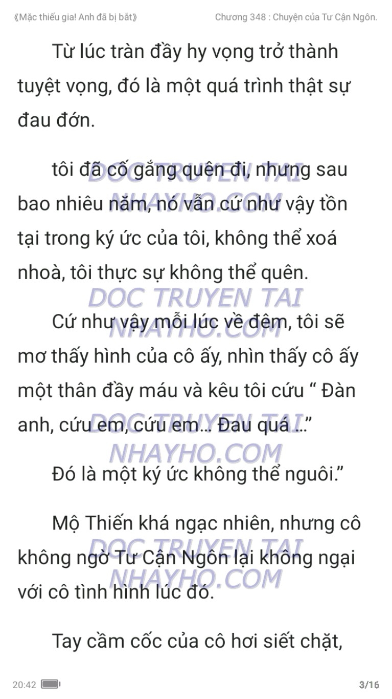 mac-thieu-gia-anh-da-bi-bat-348-2