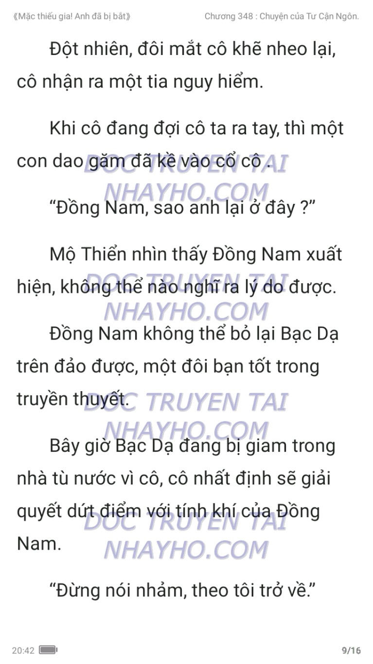 mac-thieu-gia-anh-da-bi-bat-348-8