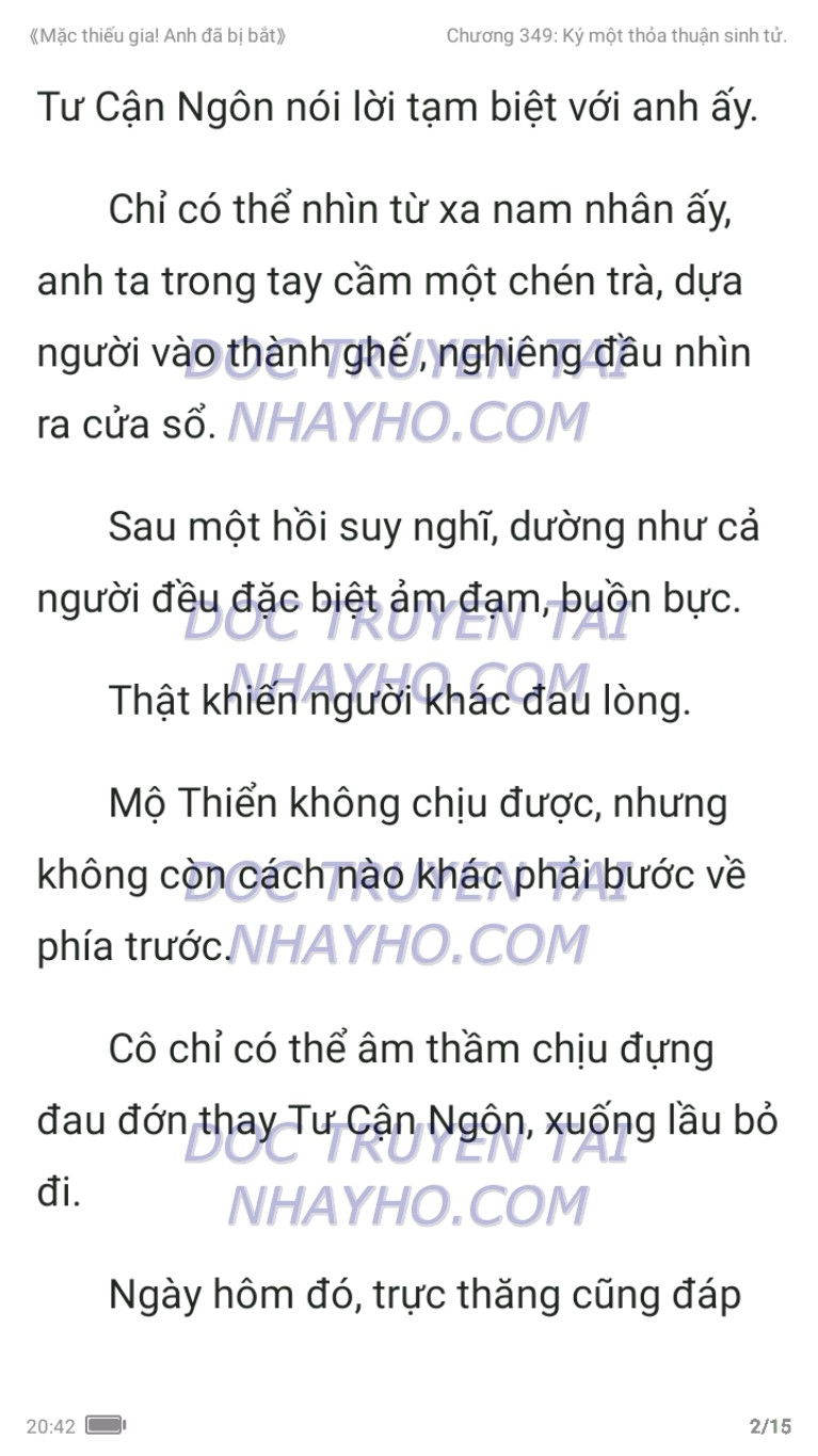 mac-thieu-gia-anh-da-bi-bat-349-1