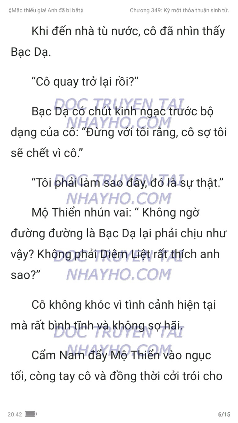 mac-thieu-gia-anh-da-bi-bat-349-5