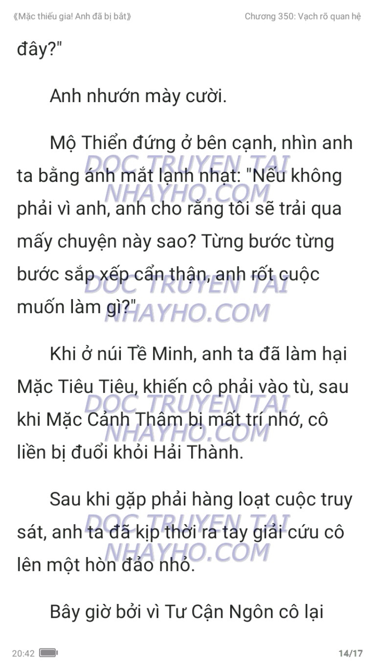 mac-thieu-gia-anh-da-bi-bat-350-13