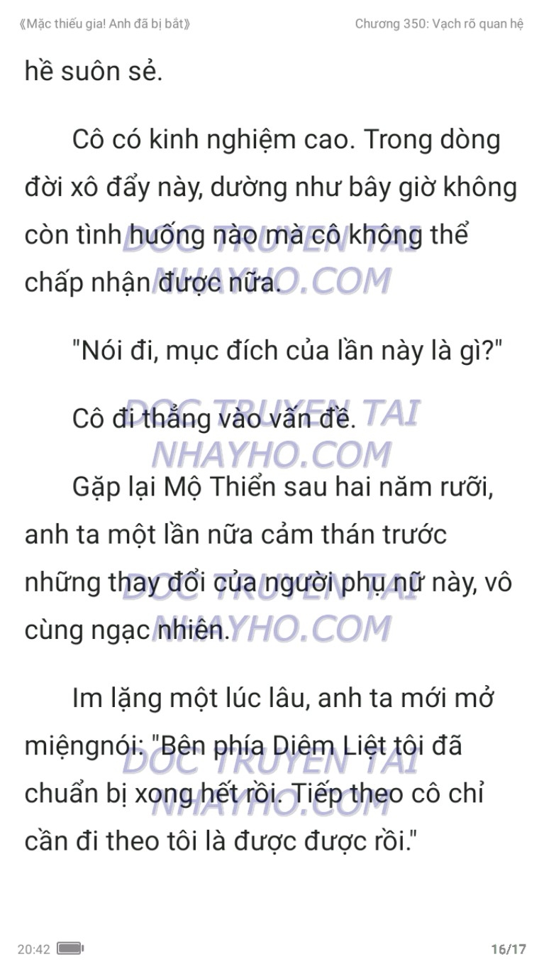 mac-thieu-gia-anh-da-bi-bat-350-15