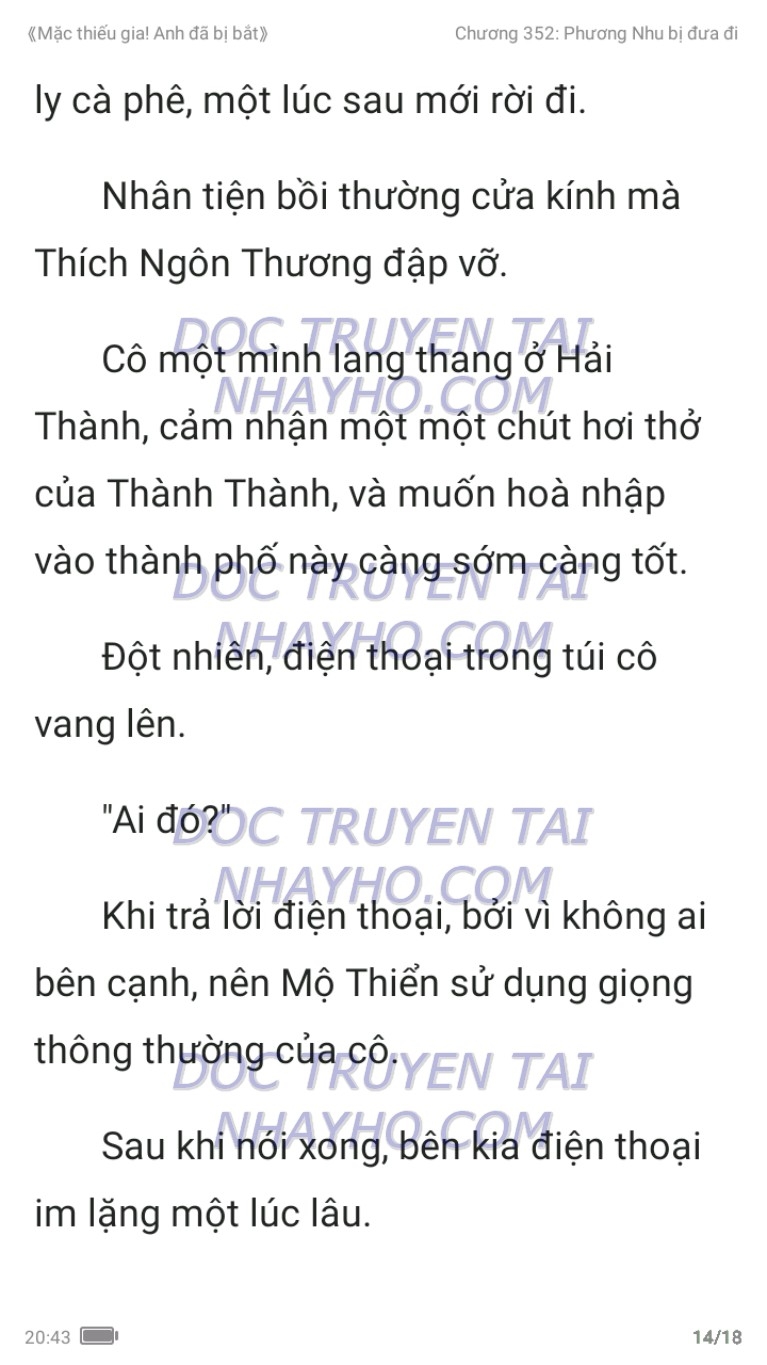 mac-thieu-gia-anh-da-bi-bat-352-13