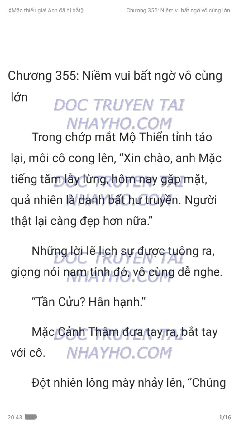 mac-thieu-gia-anh-da-bi-bat-355-0