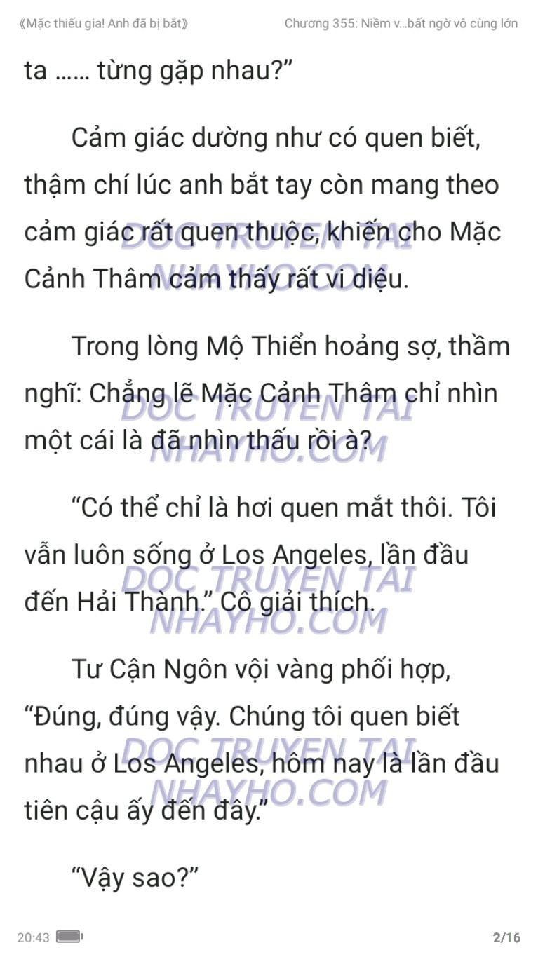 mac-thieu-gia-anh-da-bi-bat-355-1