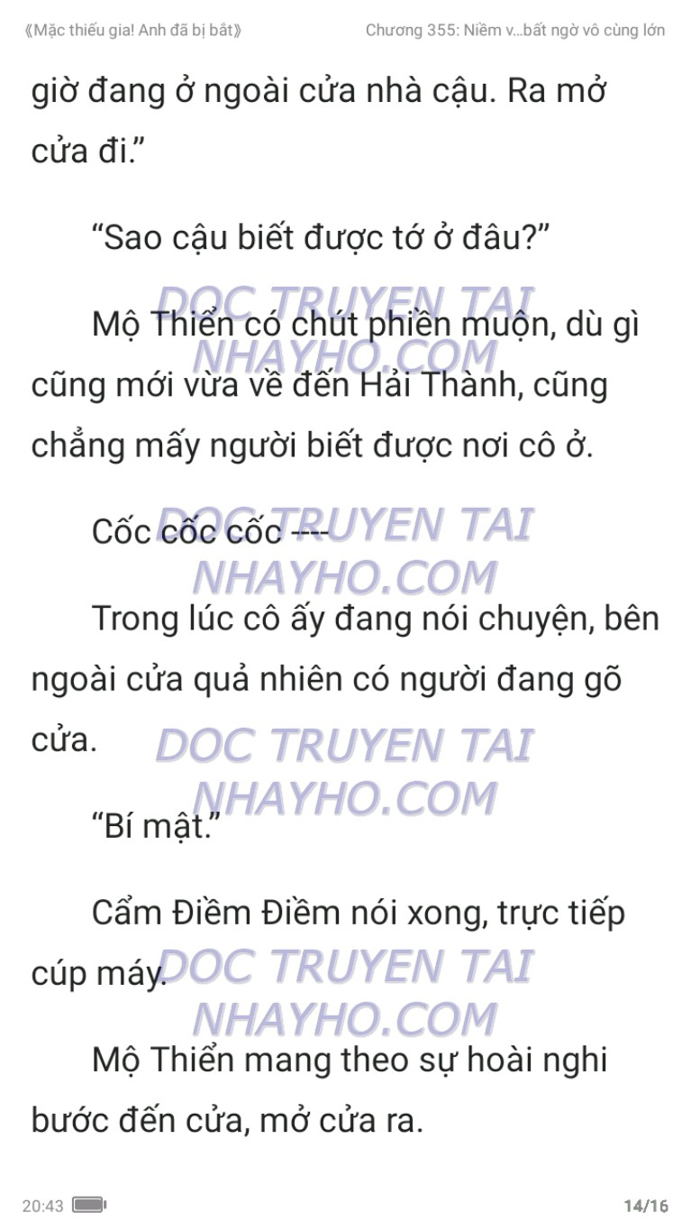 mac-thieu-gia-anh-da-bi-bat-355-13