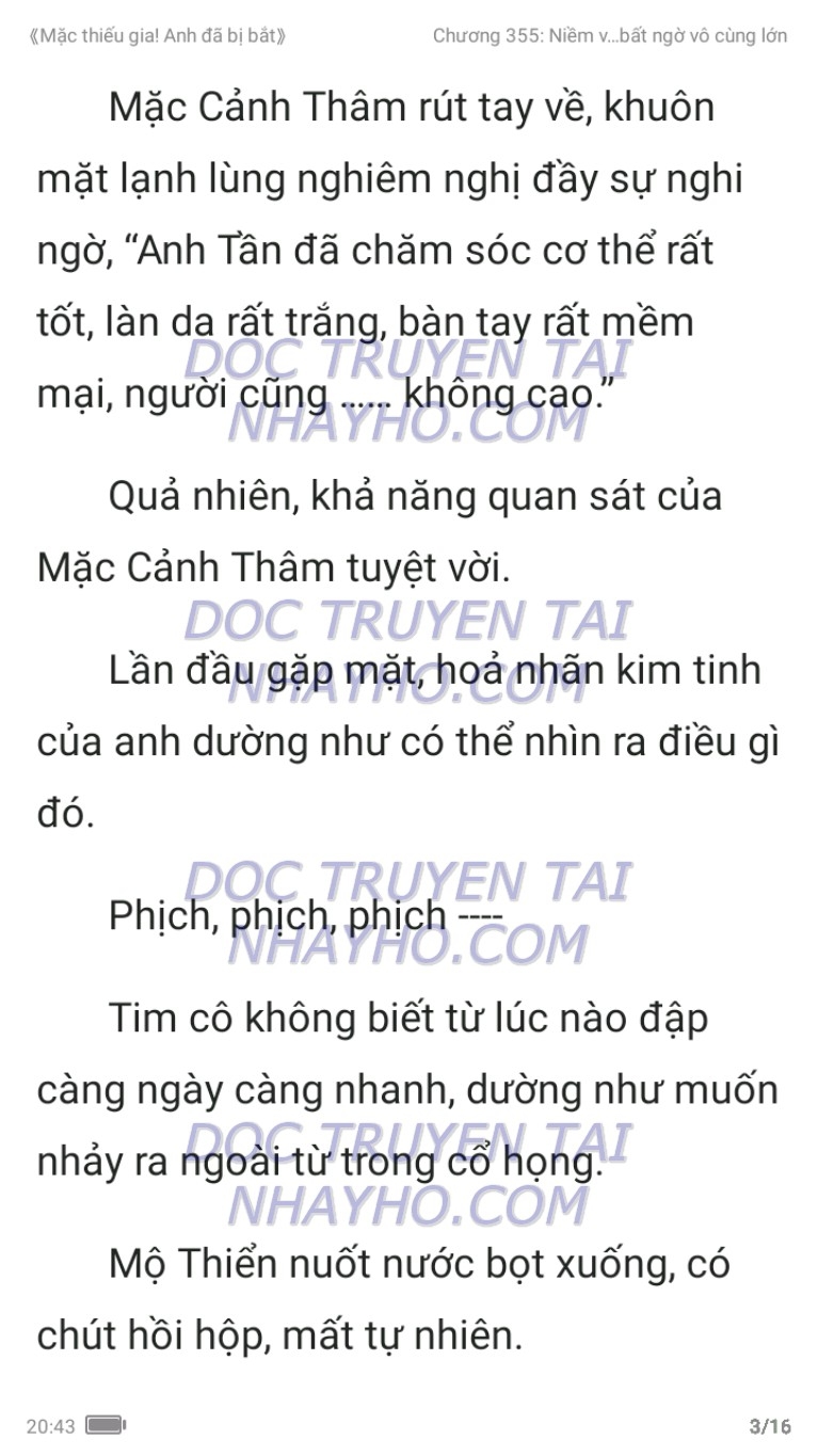 mac-thieu-gia-anh-da-bi-bat-355-2