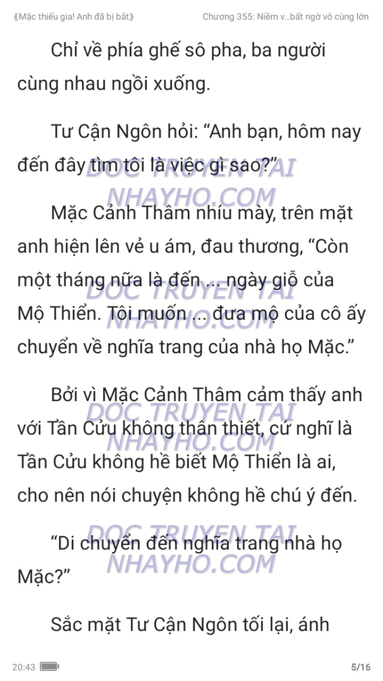 mac-thieu-gia-anh-da-bi-bat-355-4