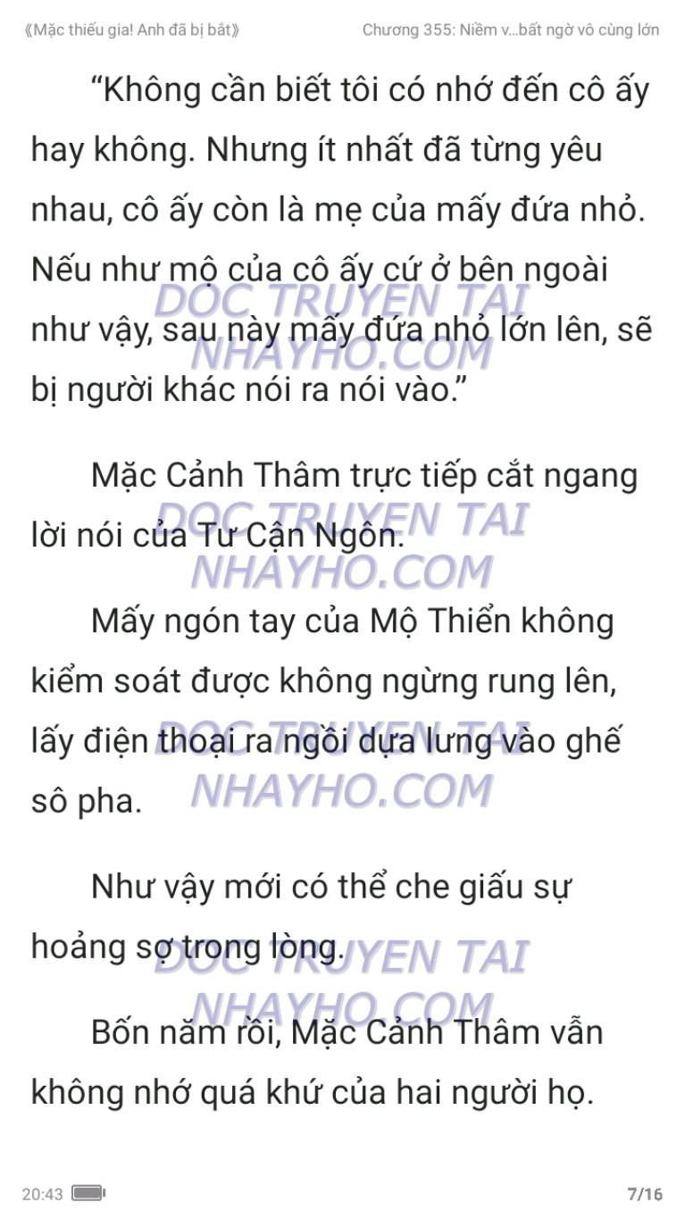 mac-thieu-gia-anh-da-bi-bat-355-6