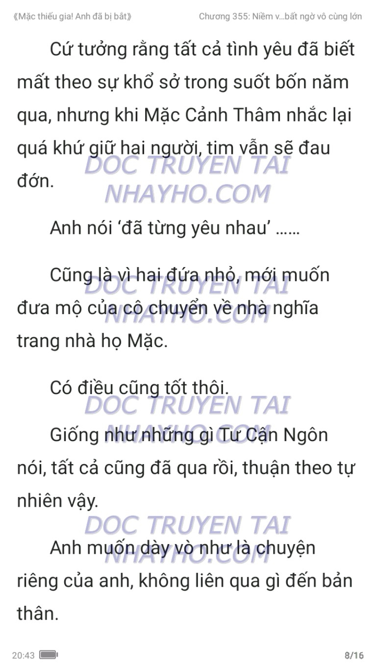 mac-thieu-gia-anh-da-bi-bat-355-7