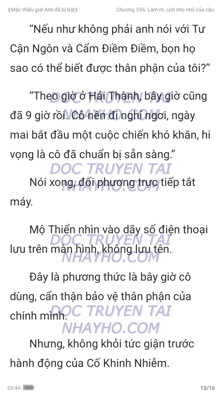 mac-thieu-gia-anh-da-bi-bat-356-12