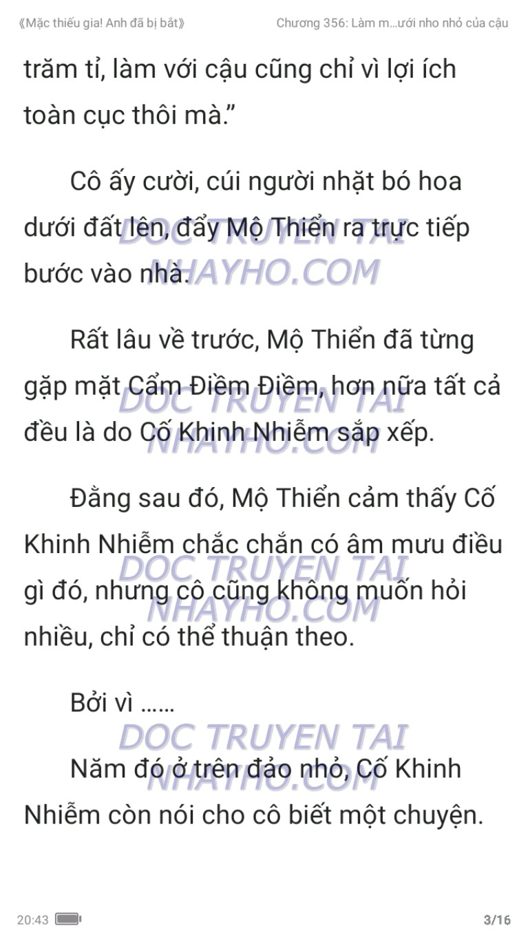 mac-thieu-gia-anh-da-bi-bat-356-2