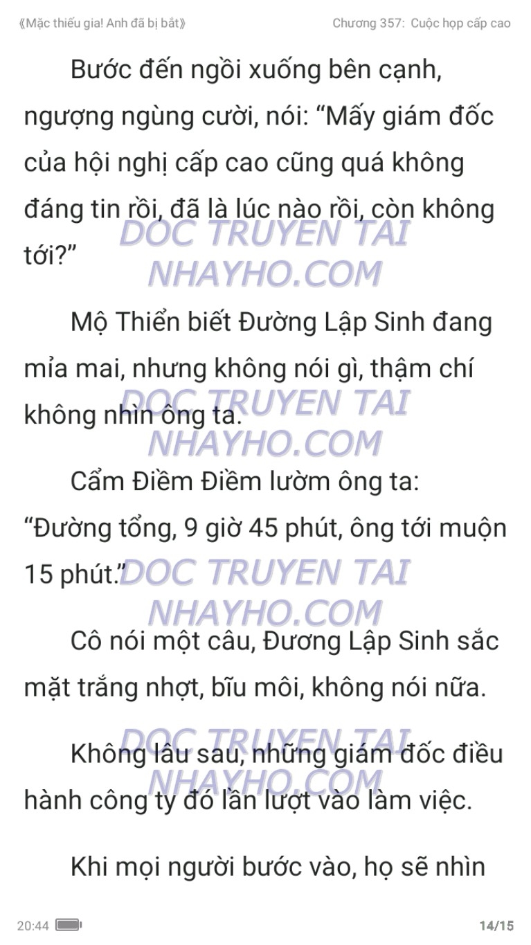 mac-thieu-gia-anh-da-bi-bat-357-13