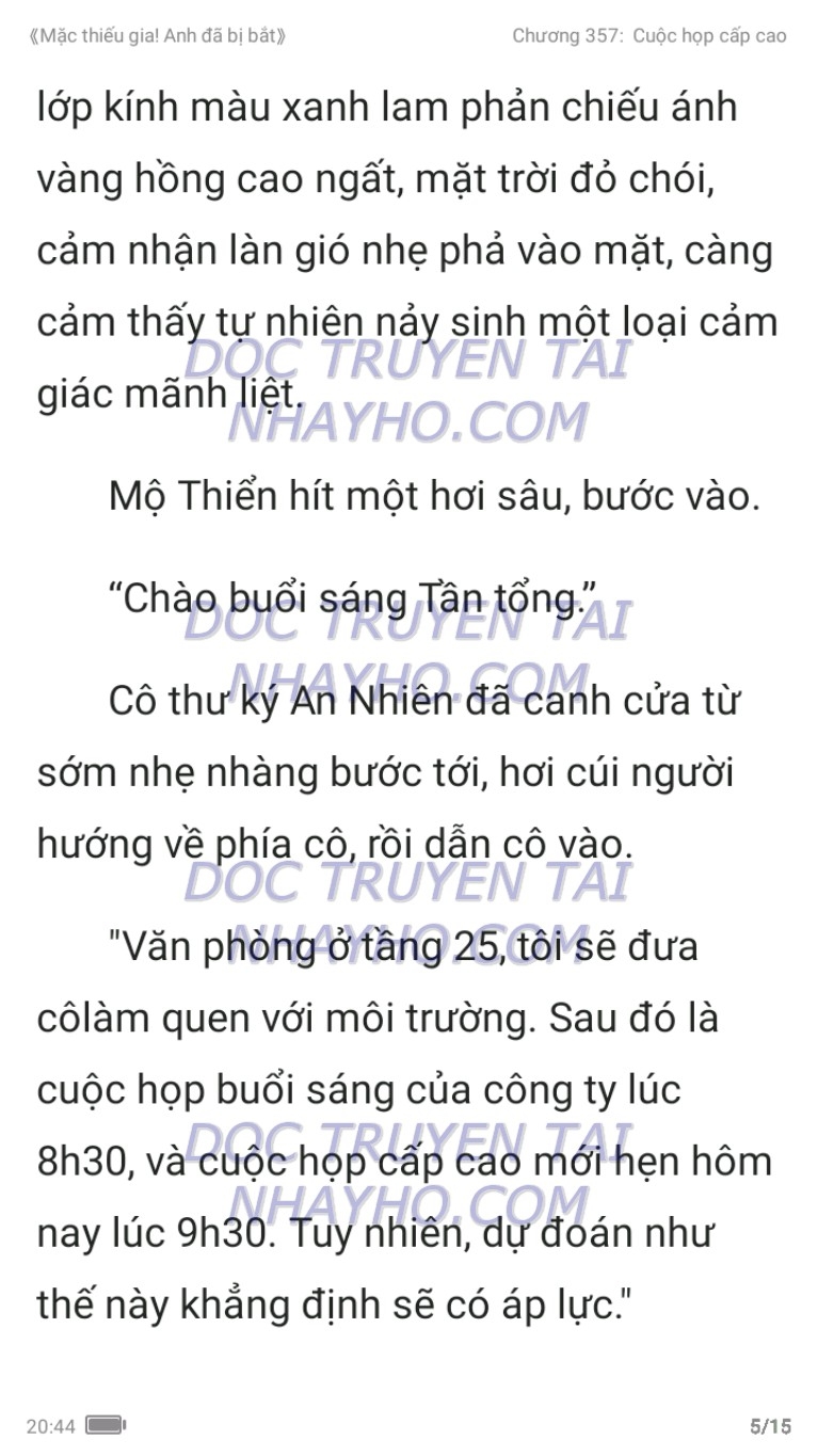 mac-thieu-gia-anh-da-bi-bat-357-4