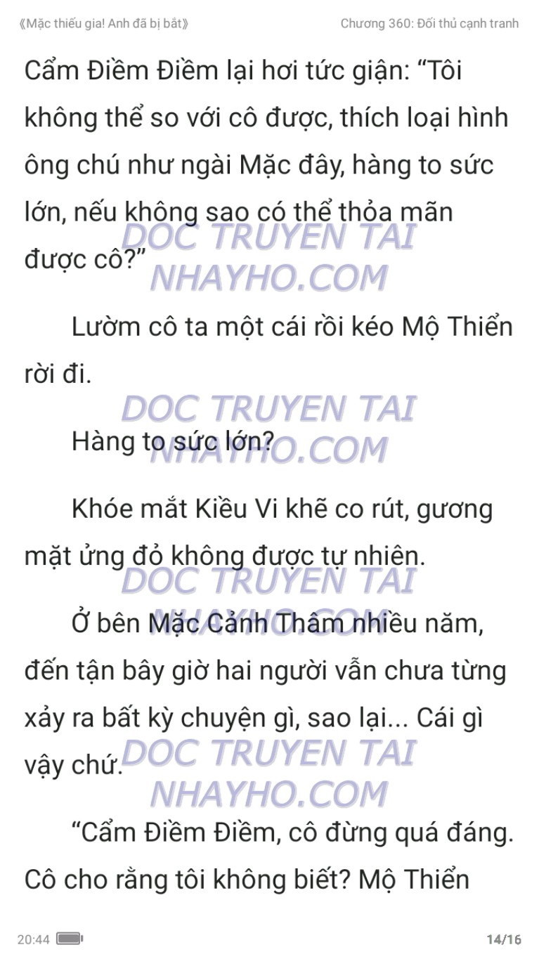 mac-thieu-gia-anh-da-bi-bat-360-13