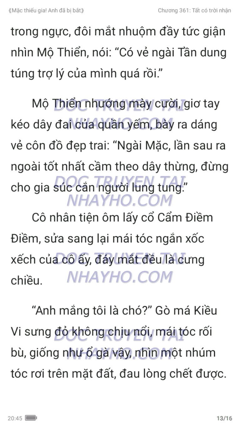 mac-thieu-gia-anh-da-bi-bat-361-12