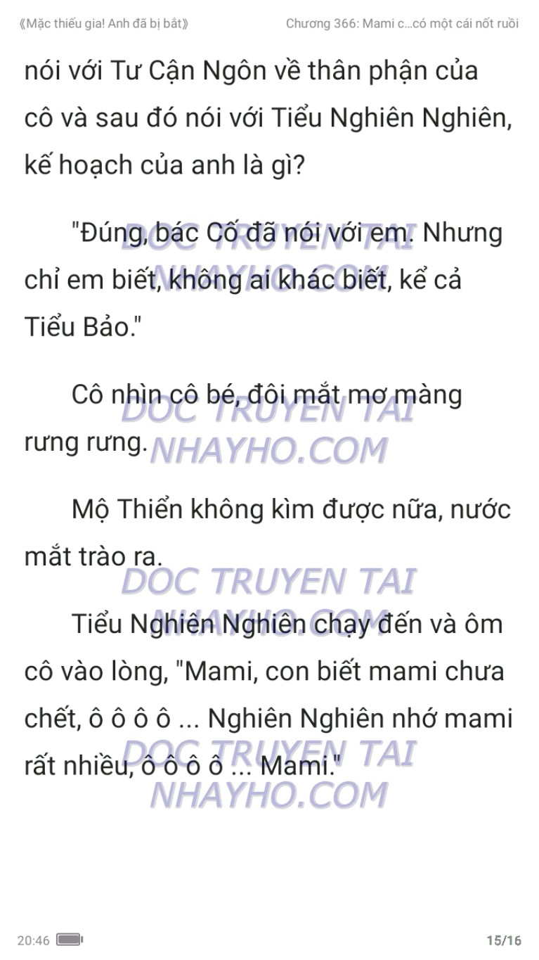 mac-thieu-gia-anh-da-bi-bat-366-14