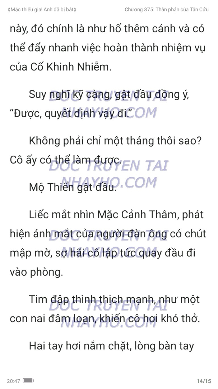 mac-thieu-gia-anh-da-bi-bat-375-13