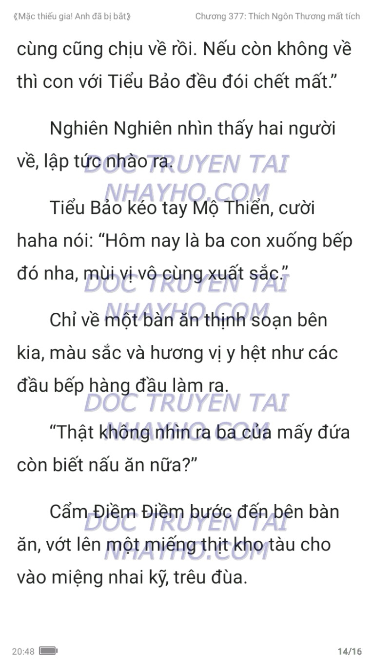 mac-thieu-gia-anh-da-bi-bat-377-13