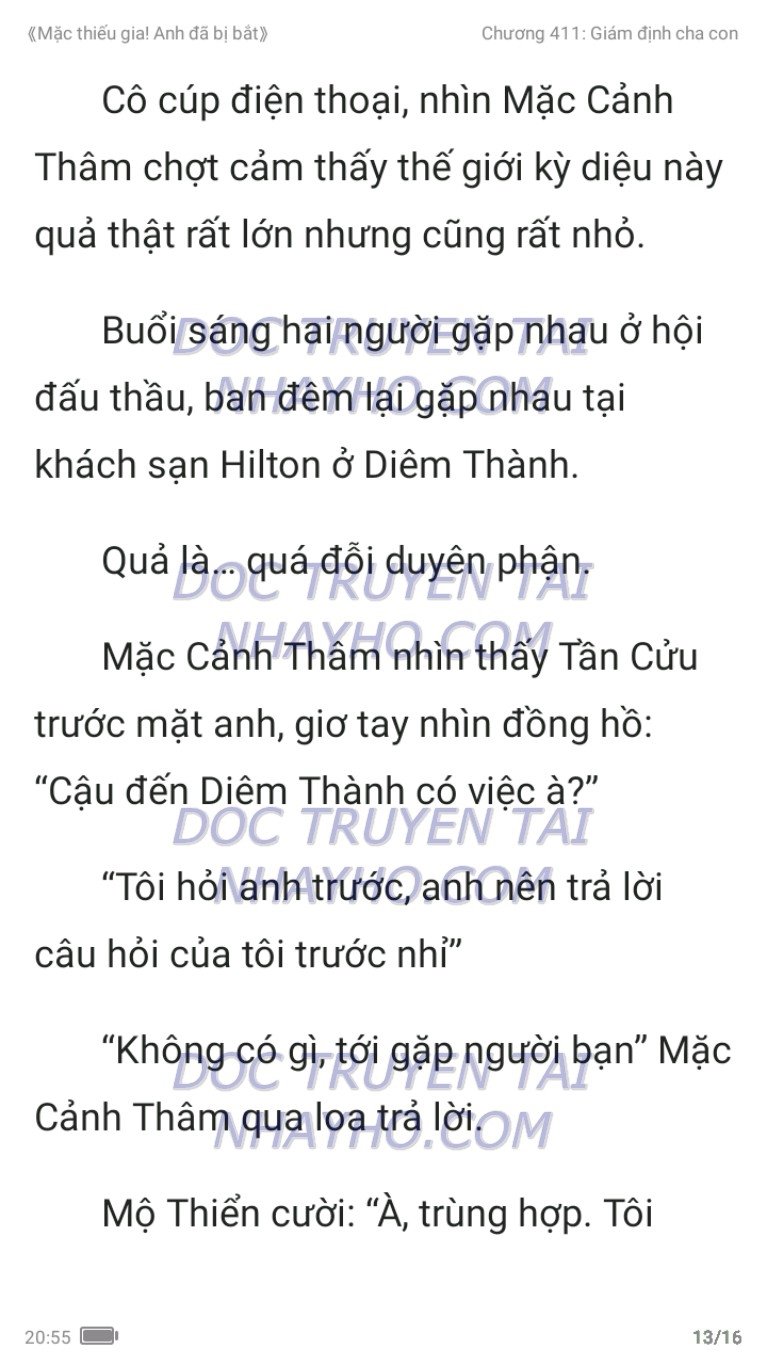 mac-thieu-gia-anh-da-bi-bat-411-12