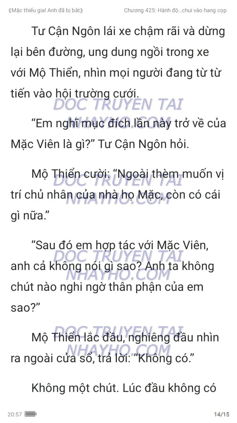 mac-thieu-gia-anh-da-bi-bat-425-13