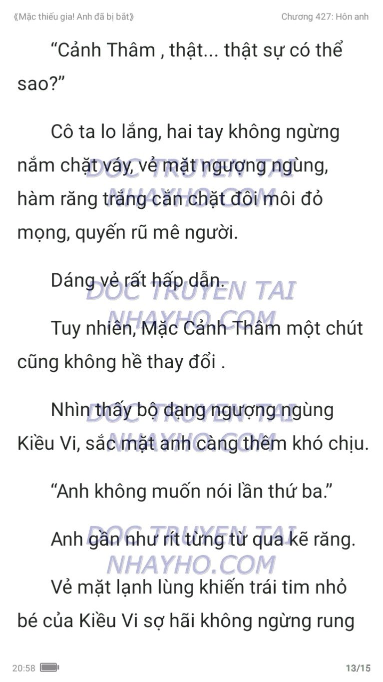 mac-thieu-gia-anh-da-bi-bat-427-12